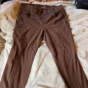 Gloria Vanderbilt Chocolate Brown Pants